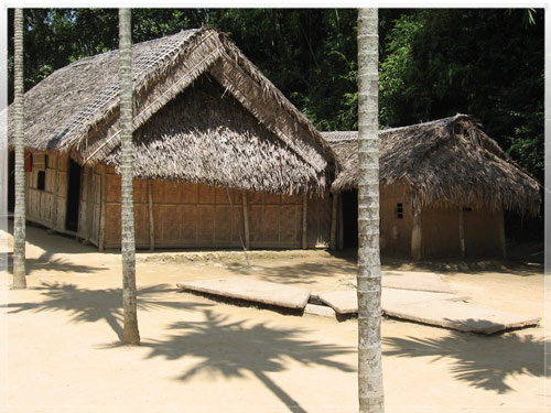Về quê Bác